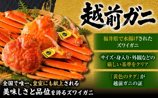 【先行予約/11月7日より順次発送】セイコガニ  越前ガニメス（ セイコガニ ）小サイズ20杯 / 越前ガニ コッペガニ セイコガニ カニ メス せいこ蟹 小浜市 / まるほ商店 【配送不可地域：北海