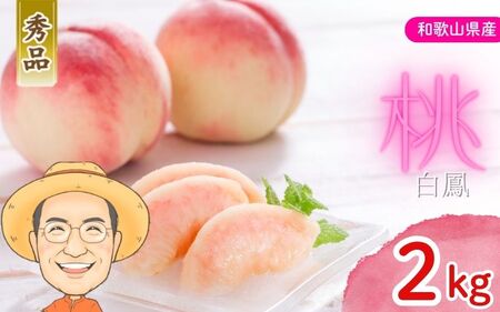 桃 白鳳 約2kg 箱 (8～9個) 【秀品】 カキエモン農園【BX-kkem027】