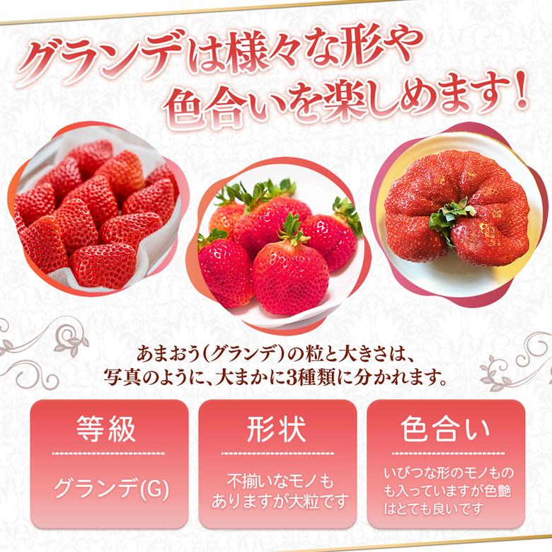 ＜先行予約受付中！2026年1月上旬以降順次発送予定＞ 福岡県産 あまおう (計1kg・250g×4パック) いちご イチゴ 苺 ストロベリー 果物 フルーツ おやつ デザート スイーツ 福岡県 小分