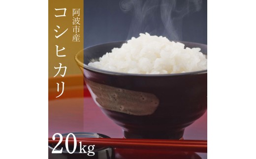 コシヒカリ 20kg 令和7年産 米 こめ ご飯 ごはん おにぎり 白米 精米 新米 卵かけご飯 食品 備蓄 備蓄米 保存 防災 もち米 ギフト 贈答 プレゼント お取り寄せ グルメ 送料無料 徳島県