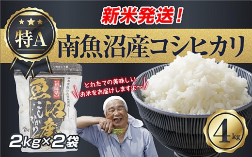 【令和8年産　新米予約】新潟県 南魚沼産 コシヒカリ お米 2kg×2袋 計 4kg 精米済み（お米の美味しい炊き方ガイド付き） お米 こめ 白米 こしひかり 食品 人気 おすすめ 送料無料 魚沼 南魚沼 南魚沼市 新潟県産 新潟県 精米 産直 産地直送 お取り寄せ【2026年10月中旬より1ヶ月以内に順次発送予定】