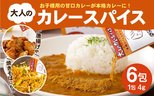 
大人のカレースパイス 計24g ( 4g×6包 ) セット 簡単調理 カレー スパイス
