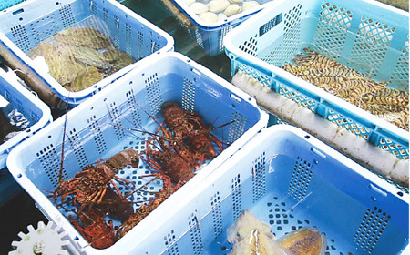 まるは食堂旅館 南知多豊浜本店　伊勢海老活造り付コースペアお食事券【1028927】