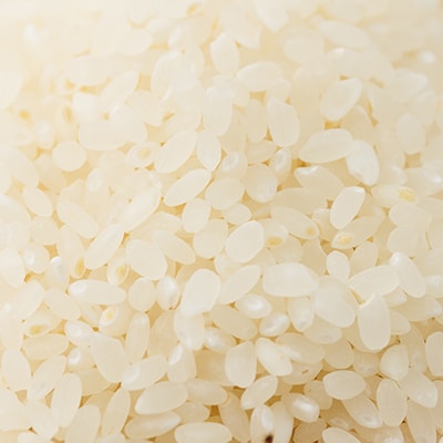 【突鉱土育ち】津山産トッコウ米(こしひかり)5kg【1361991】