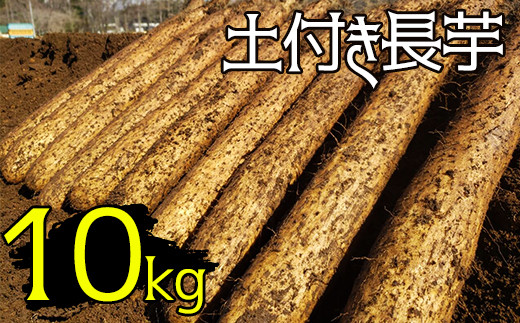 
変色しない！ 土付き 長芋 10kg 【ながいも一筋 マル庄】 ／ とろろ 山かけ
