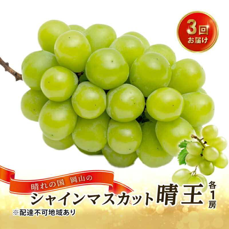 【ふるさと納税】ぶどう 2026年 先行予約 3回お届け！ 晴れの国 岡山の シャイン マスカット 晴王 ×3回！（各1房） 葡萄 岡山県産 国産 フルーツ 果物 ギフト 果物類 大粒 種なし 皮ごと 甘い 　お届け：2026年9月上旬～2026年12月下旬