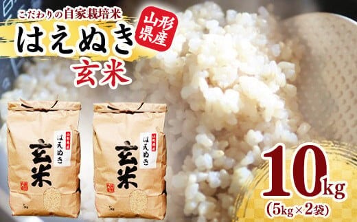 
										
										《減農薬栽培》【新米】玄米 10kg 「はえぬき」(5kg×2袋) 2024年産（令和6年産）【2024年10月頃より発送予定】 012-C-JF006-2024
									