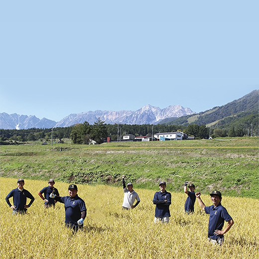 【令和7年度産】長野県小谷村百姓七人衆のあきたこまち【玄米】　10kg