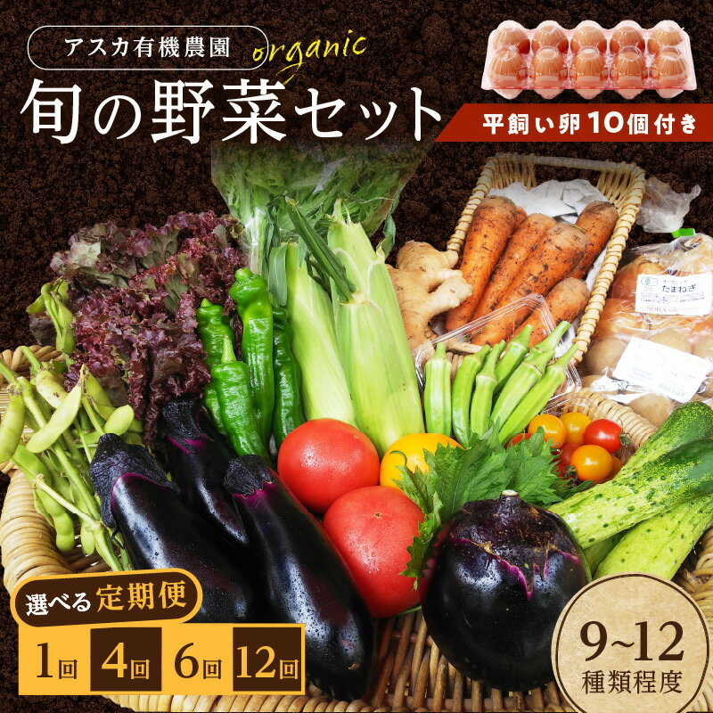 【ふるさと納税】平飼い卵付★高評価5.0 ★／京の旬野菜セットL（栽培期間中農薬・化学肥料不使用）＜アスカ有機農園＞ 1回 4回 6回 12回 定期便 回数 選べる 野菜 京野菜 旬野菜 旬 卵 玉子 平飼い セット 詰め合わせ 京都府 京丹後市 ふるさと納税 野菜