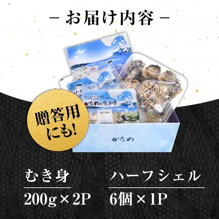 生牡蠣むき身400g・開殻6個 牡蠣[XBP014]