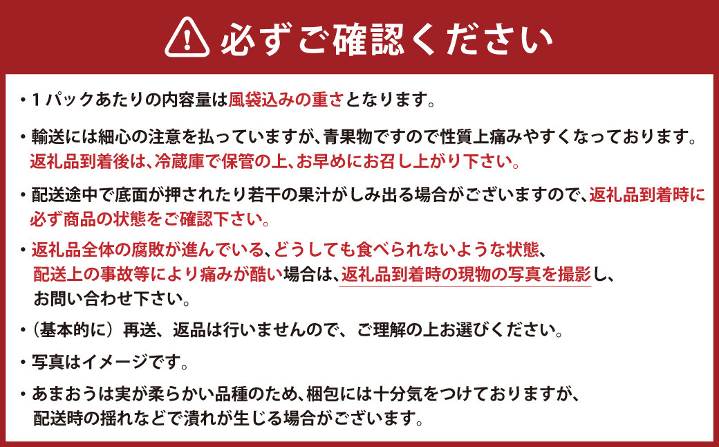 ギフト配送 福岡県産あまおう EX 約450g×2パック 〈特別栽培〉 【2025年1月上旬～3月下旬発送予定】