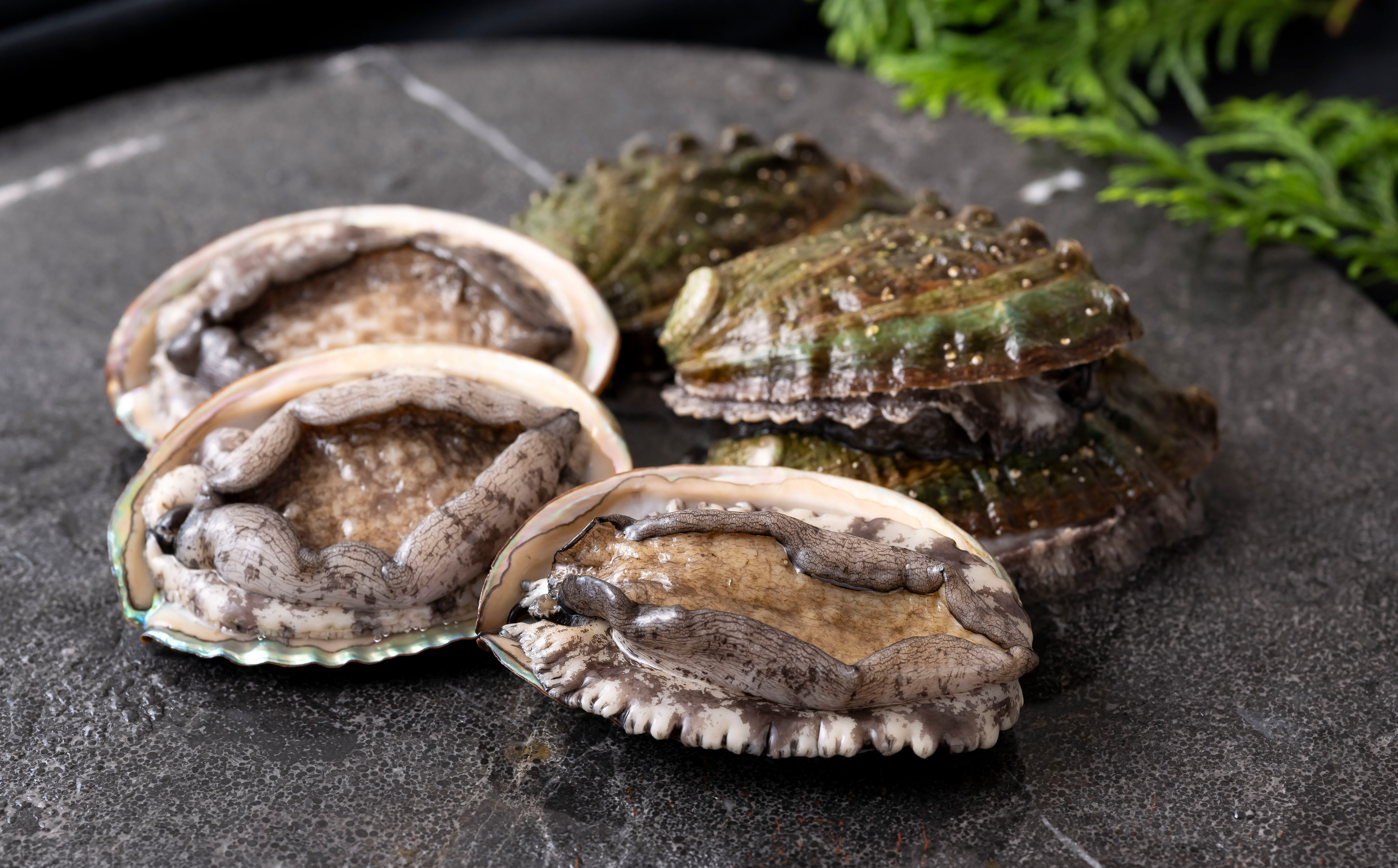 翠巡(すいじゅん)完全養殖佐世保産あわび4個