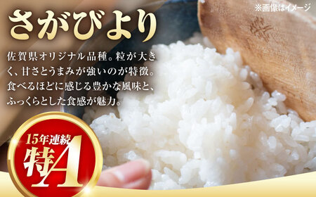 【14年連続特A評価】武雄市産 さがびより 10kg（5kg×2袋） /株式会社 y’s company[UDX017]
