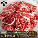 【ふるさと納税】【牧場直送】【6回定期便】佐賀県産しろいし牛 万能切落し 1kg（500g×2パック） 【有限会社佐賀セントラル牧場】お肉 肉 牛肉 冷凍 切り落とし [IAH134]