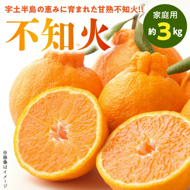 【ふるさと納税】【家庭用】 熊本県産 不知火 約 3kg 樹成 甘熟 柑橘 みかん 甘い 果実 果物 フルーツ オレンジ 国産 福島オレンジ農園 お取り寄せ お取り寄せフルーツ 常温発送 送料無料【熊本県宇土市】