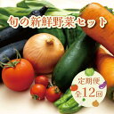 【ふるさと納税】【毎月お届け全12回】旬の新鮮野菜セットA（たっぷり13種類以上） | 野菜 やさい 食品 人気 おすすめ 送料無料