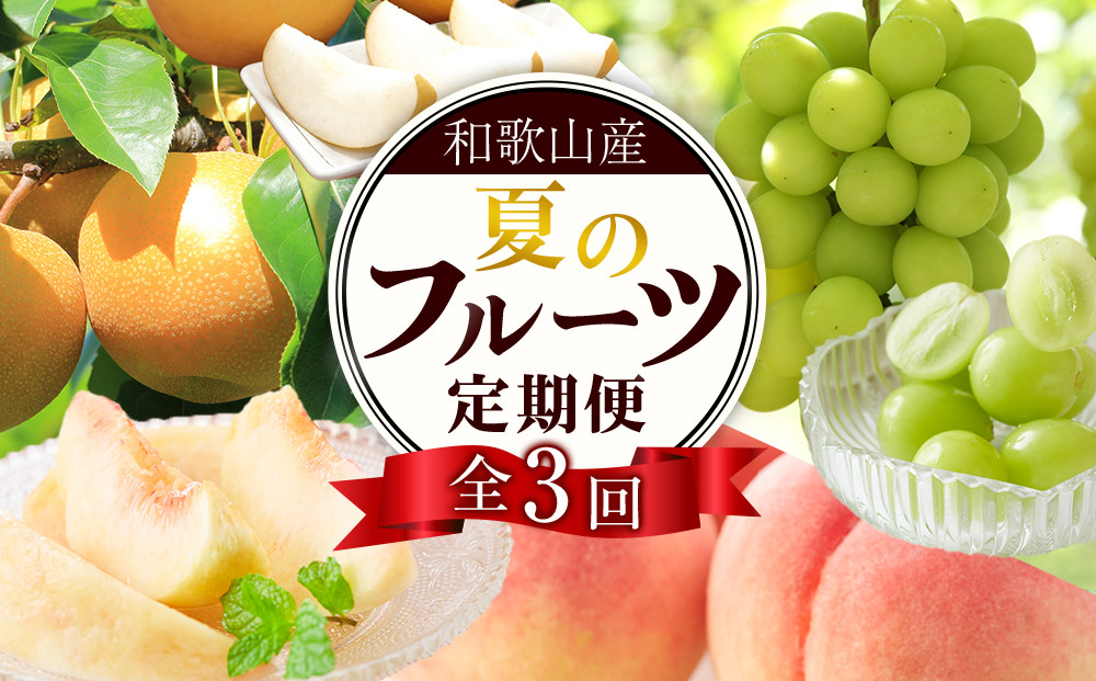 定期便全3回 【7月・8月・9月発送】 和歌山の夏のフルーツをお届け（桃・梨・シャインマスカット） ［TM224］