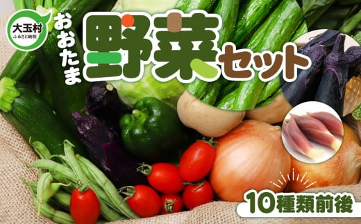 【 先行予約 / 2025年7月下旬以降発送】 旬の 野菜セット （10種類前後） お試し 詰め合わせ 《寄附額 5000円 》｜ SDGs セット おためし 詰合せ 人気 ｜ 福島県 大玉村 01104