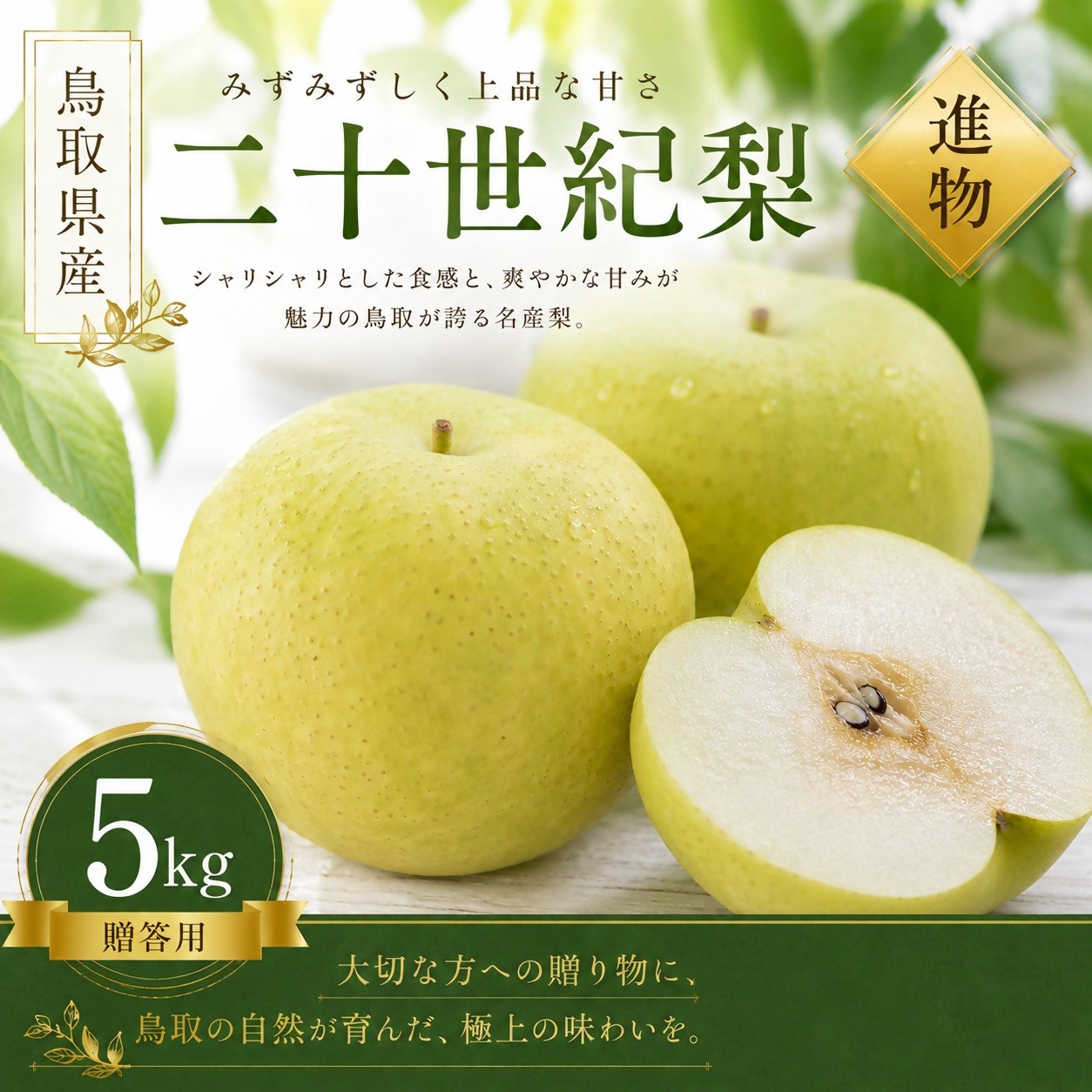 
                  【予約受付中】有梨の実石田 二十世紀梨 進物用5㎏
                