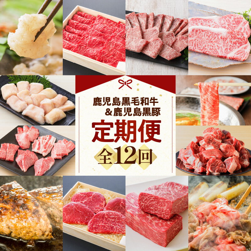 【ふるさと納税】【 全12回 】 鹿児島 黒毛和牛 ＆ 鹿児島黒豚 定期便 送料無料 鹿児島市 九州 お取り寄せ さつま 薩摩 肉 お肉 牛肉 もつ 牛 ビーフ 和牛 国産牛 黒豚 豚肉 豚 ぶた ポーク 赤身 厚切り サーロイン ステーキ 上ロース ロース ミックスホルモン ホルモン
