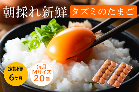 【TVで紹介されました】定期便】タズミの卵Ｍサイズ（20個×6か月）030AB02N.／こだわり卵 市川町産 兵庫県産 たまご たまごかけご飯 玉子 生卵 鶏卵 タマゴ 卵焼き TKG 6か月 定期便