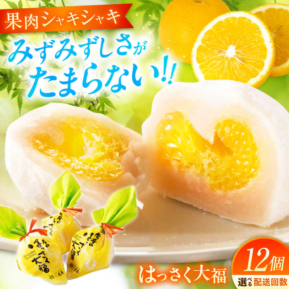 【ふるさと納税】【選べるお届け回数】お菓子 はっさく大福 12個入 お菓子 大福 八朔 柑橘 みかん はっさく オレンジ 餅 ギフト お取り寄せ スイーツ フルーツ大福 ご当地 おかし デザート 和菓子 詰め合わせ 個包装 手土産 白あん 福山市/株式会社虎屋本舗[BADH012]