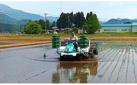 先行予約 [定期便4kg×6か月] 新潟県産 こしひかり 4kg(2kg×2袋)×6か月 新潟県 三条市 下田産 コシヒカリ 精米 白米 【060S006】
