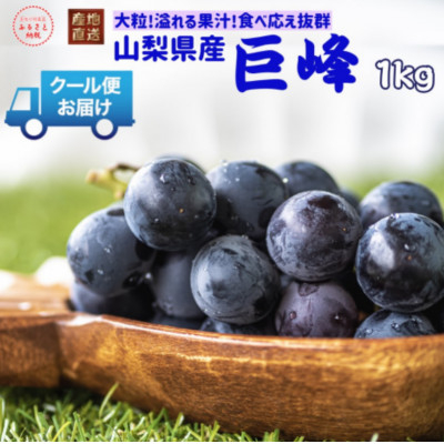 
＜2024年先行受付＞安心のクール便発送　山梨県産　巨峰 1kg(2房)【1398969】
