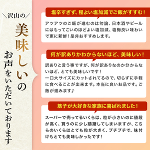 訳あり 紅鮭塩筋子500g (250g×2個入）加藤水産 ひとくちカット すじこ 魚卵 海鮮 おかず おにぎりの具 贈答 ギフト 人気 留萌市