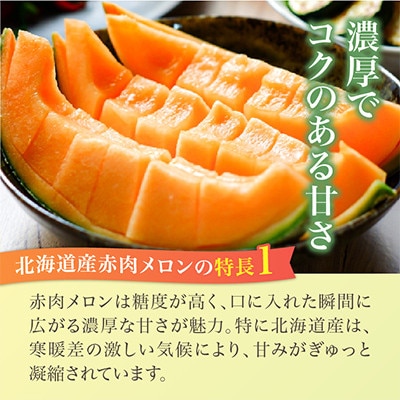 【2026年発送】北海道産赤肉メロン・小玉スイカ(約1.6kg×各1玉)_02064【配送不可地域：離島】【1691775】