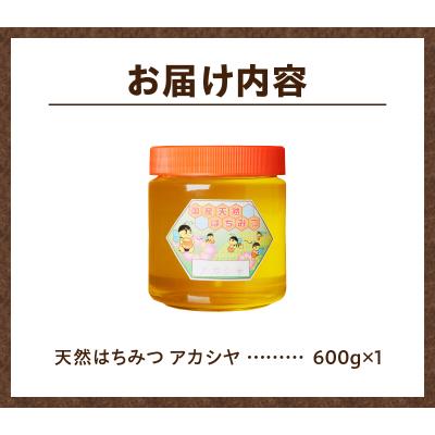 ふるさと納税 滝川市 【北海道滝川産】高見養蜂場の純粋はちみつ(アカシヤ600g×1本)国産 天然 無添加 ハチミツ 蜂蜜 |  | 02