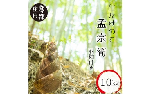 ★先行予約★【令和8年産】食の都庄内　生たけのこ「孟宗筍」約10kg　酒粕付き　※令和8年4月下旬～5月下旬頃発送予定