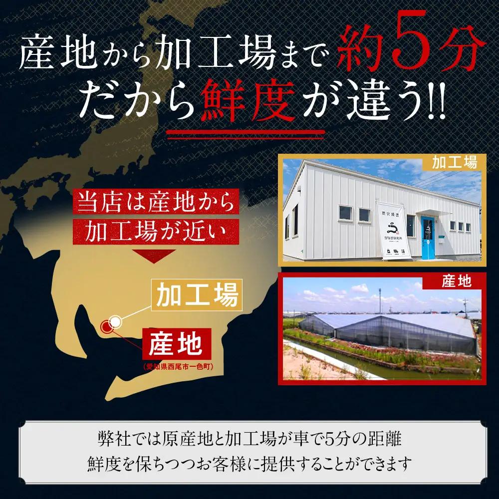 【期間限定】三河一色産うなぎ蒲焼特大3尾(計480g以上)・R008-24