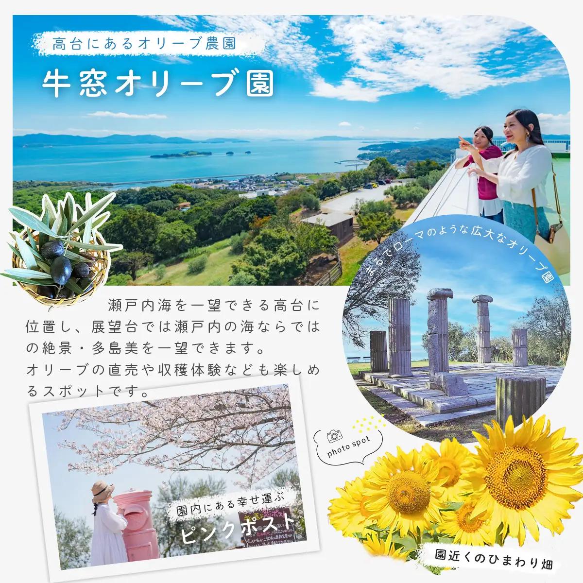 ぶどう ニューピオーネ 2kg 3～5房 先行予約