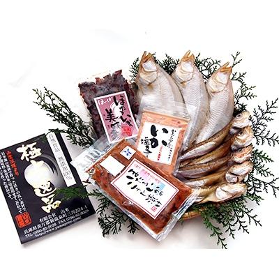 ふるさと納税 新温泉町 山陰の干物とイカのグルメセット