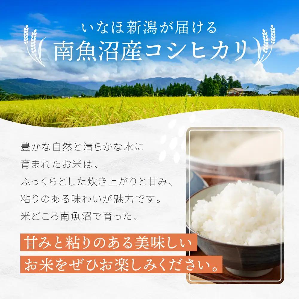 【令和7年産米】南魚沼産コシヒカリ 白米 5kg【銘柄米 ブランド米 精米 こしひかり コシヒカリ 魚沼産 新潟米 産地直送 お米 米 こめ コメ ご飯 御飯 ごはん】