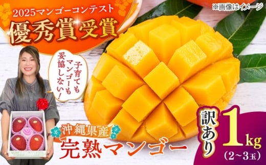 マンゴー 訳あり 1kg (2〜3玉)【2026年発送】 MAIFARM [BCAN003] マンゴー フルーツ ふるーつ まんごー くだもの 果物 Mango MANGO mango 果実 トロピカルフルーツ 訳アリ わけあり ワケあり ワケアリ 沖縄県産 完熟 芒果 家庭用 国産 南国 デザート 産地直送 直送 季節限定 旬 スイーツ 国産 家庭用 ご当地 特産品 送料無料 沖縄市