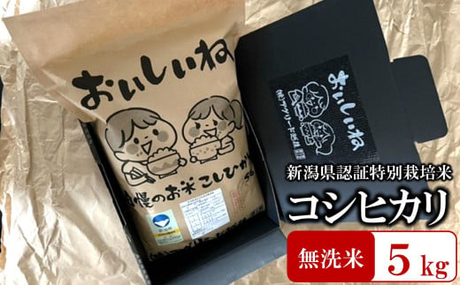 【令和5年産米】おいしいね 厳選 新潟県認証特別栽培米 コシヒカリ 無洗米 5kg[B495]