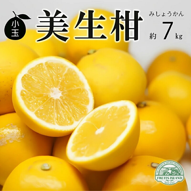 【ふるさと納税】 先行予約 数量限定 訳あり 小玉 美生柑 約7kg 小粒 河内晩柑 ばんかん 柑橘類 フルーツ 果物 くだもの 果実 夏文旦 晩生柑 みかん 蜜柑 高級 わけあり 傷 規格外 愛媛県 愛南町