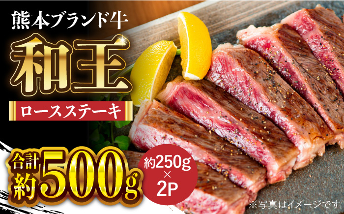 
                  和王 ロース ステーキ 約500g【マイライフホールディングス 株式会社 】ロースステーキ肉 牛肉 熊本 [ZCF008]
                