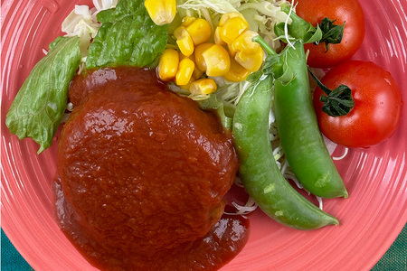 国産有機大豆ミート ハンバーグ ・ 生姜焼き 100g×各2pセット 植物性原料使用 ヴィーガン対応 JAS認証取得 お肉のような食感 ボリューム満点 健康志向 ヘルシー食品 冷凍保存 茨城県 潮来市