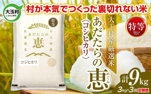 米 大玉村産厳選米「あだたらの恵」特等（品種：コシヒカリ） 計9kg 《 令和7年産  》 定期便 ( 全3回 × 3kg )｜ 福島 大玉村 お米 米作り こしひかり 令和7年 精米 白米 こめ コメ ご飯 送料無料 大玉村農業振興公社 ｜ on-akt-3kg-t3-r7