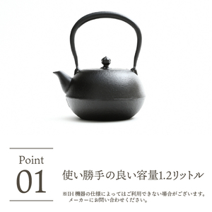 南部鉄器 鉄瓶 寒梅美肌鉄瓶 ～BIHADA～ 1.2L IH調理器 伝統工芸品 やかん ケトル キッチン用品 食器 日用品 雑貨 [BE002]