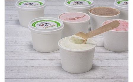 北海道産 手作りアイスクリーム 120ml×8個セット (お好み詰め合わせ)  南幌町 国産 NP1-293