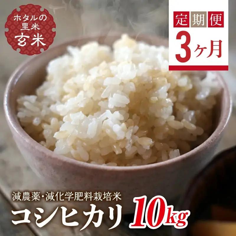  ＜定期便3ヶ月＞【ホタルの里米】環境に配慮し農薬を減らした栽培米 コシヒカリ玄米10kg  F4D-2305