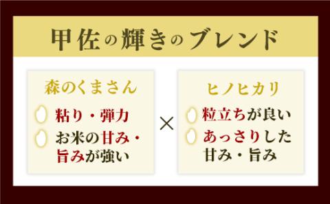 令和5年産【翌月以降指定可能】『甲佐の輝き』精米10kg（10kg×1袋）【価格改定XB】