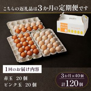 【3ヶ月定期便】 ミシュラン たまご 40個×3ヶ月 計120個 卵 2種類 詰め合わせ 高級卵 濃厚鶏卵 新鮮 卵かけご飯 人気 美味しい
