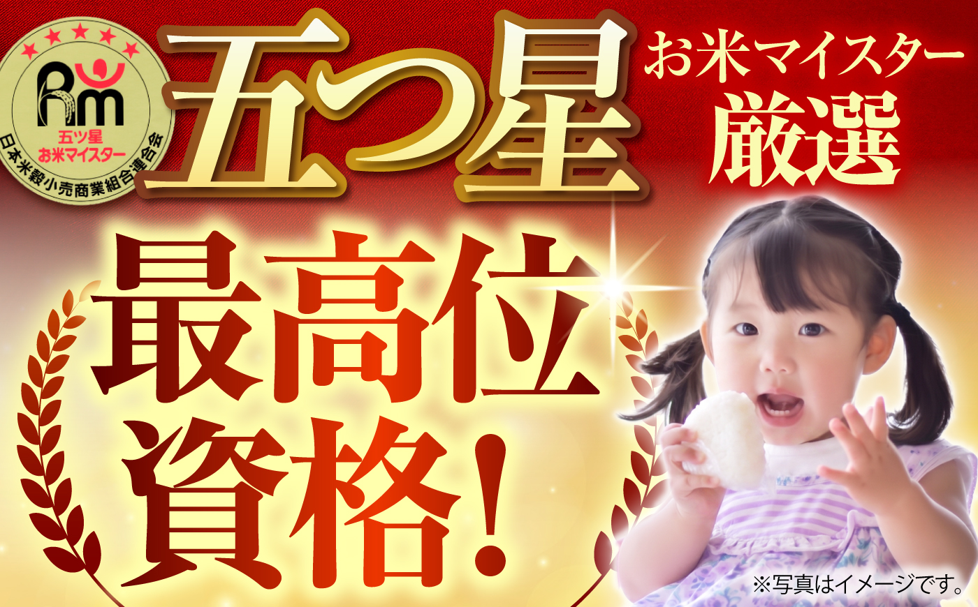【全12回定期便】 白米 食べ比べ さがびより・夢しずく 各回20kg（各5kg×2袋）【五つ星お米マイスター厳選】特A米 特A評価 [HBL151]