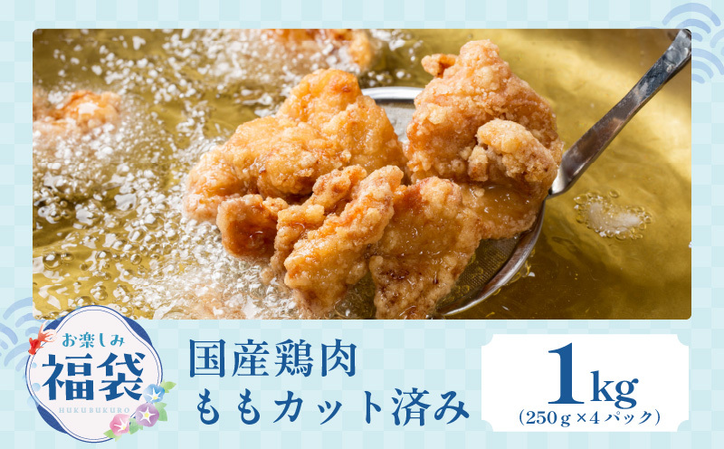 【お楽しみ】夏の福袋 4種 4kgセット（牛肉 切り落とし／牛ハラミ／豚肉 スペアリブ／鶏肉）【氷温熟成×極味付け 焼肉 焼くだけ 食べ比べ ふくぶくろ お楽しみ 簡単調理 期間限定】 mrz0141