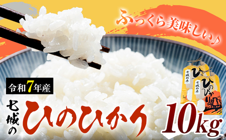 米 令和7年産 七城の ひのひかり 10kg 有限会社草佳苑《90日以内に出荷予定(土日祝除く)》熊本県 菊池市 こめ 米 ひのひかり ブランド米 お米